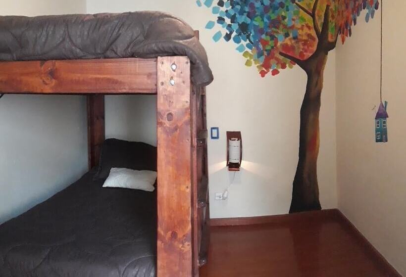 家庭间, Hostel Casa Del Arbol
