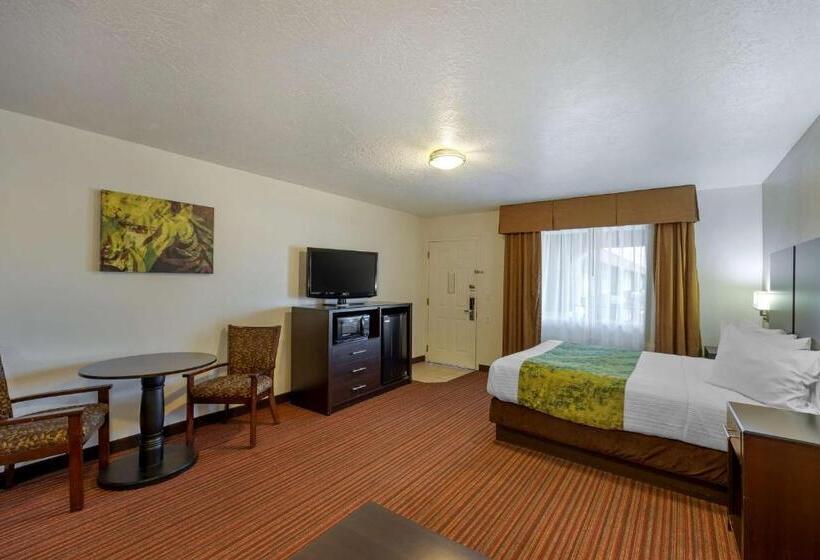 标准间, Best Western Mesquite Inn