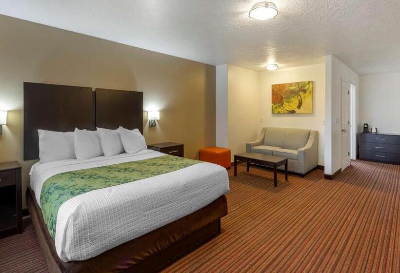 标准间, Best Western Mesquite Inn