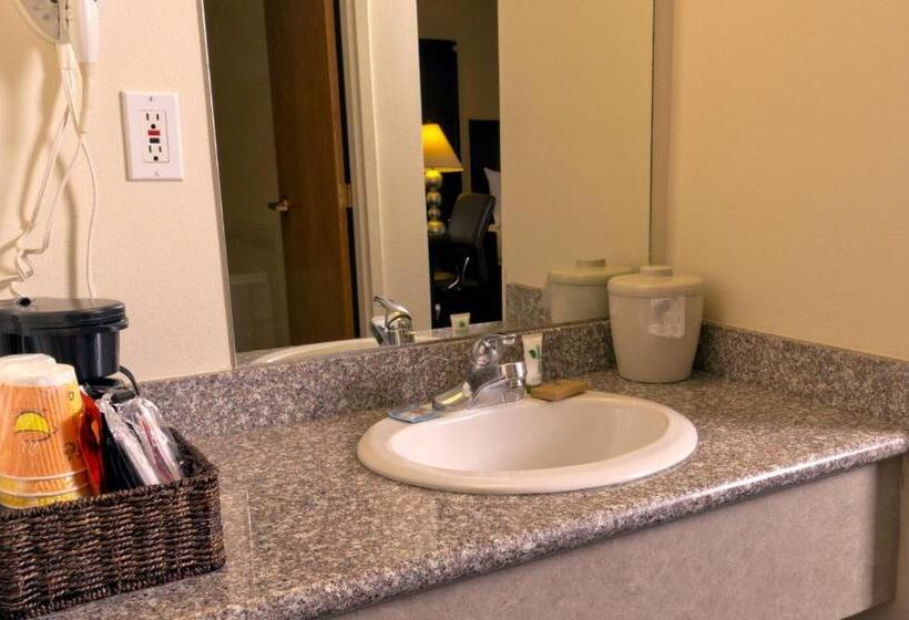 اتاق استاندارد با تخت بزرگ, Cedars Inn