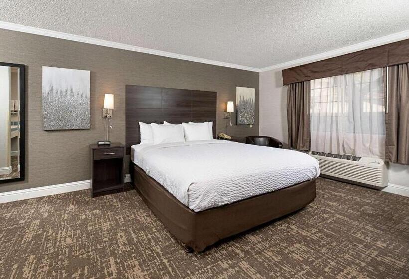 장애인을 위한 킹사이즈 침대 스탠다드 룸, Clarion Inn Silicon Valley
