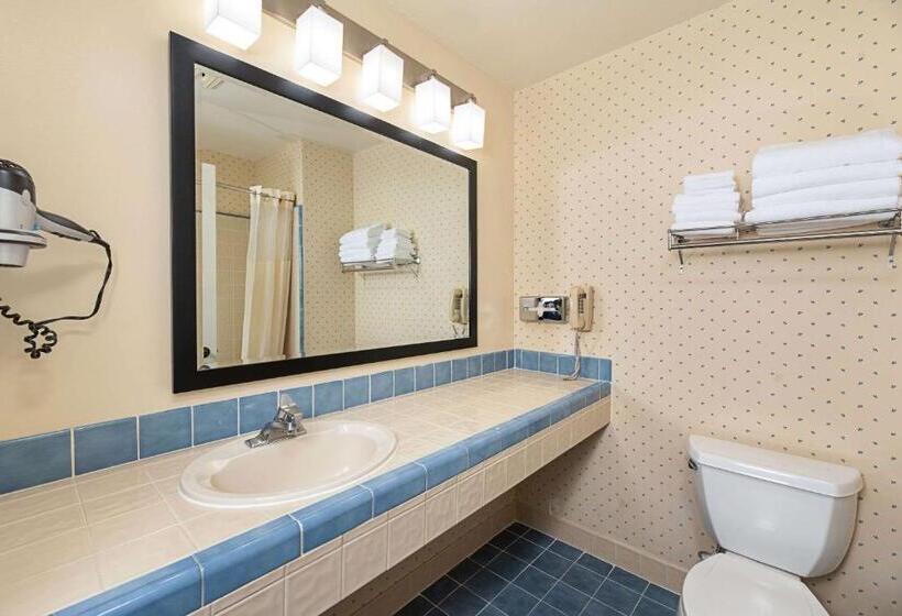 장애인을 위한 스탠다드 룸, Clarion Inn Silicon Valley