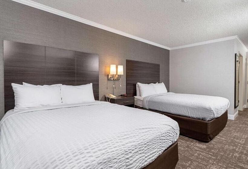 장애인을 위한 스탠다드 룸, Clarion Inn Silicon Valley