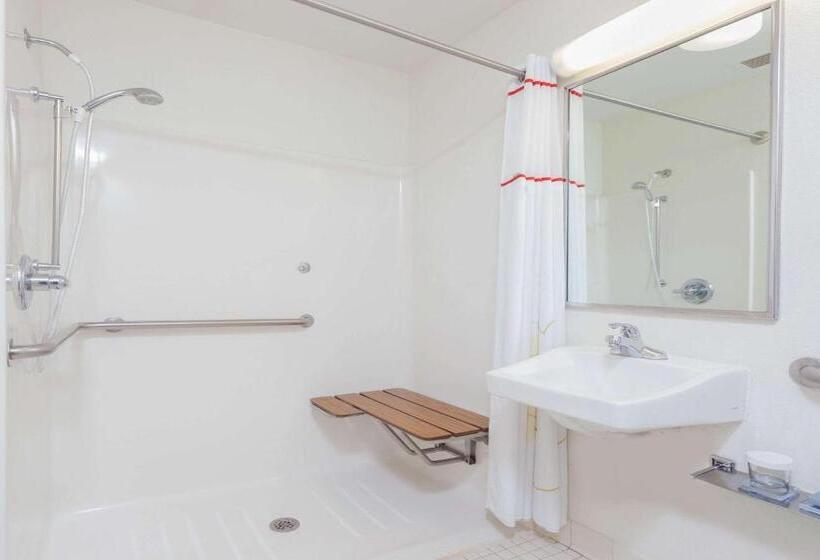 Люкс Адаптированный для Инвалидов, Mainstay Suites Detroit Auburn Hills