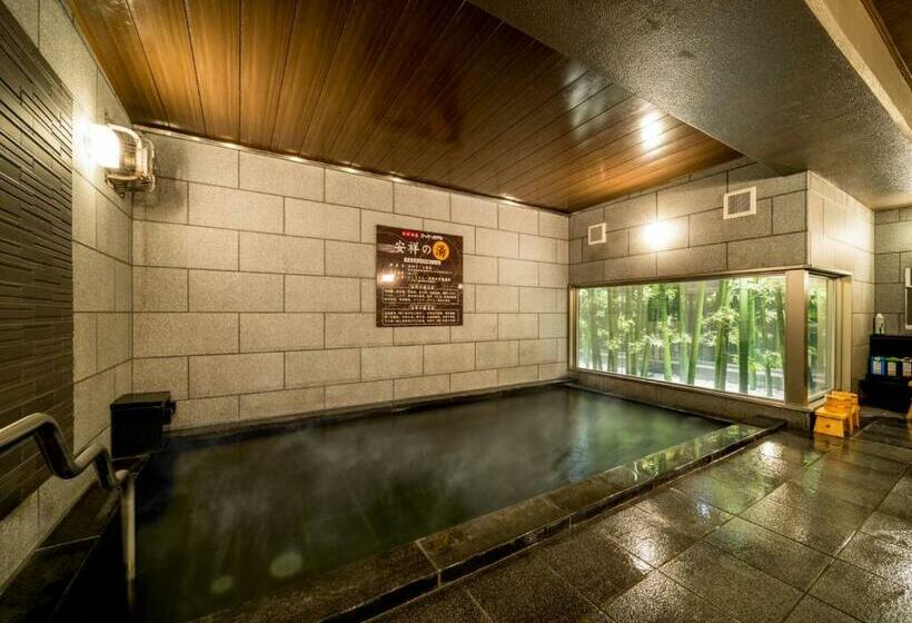 Номер Стандарт, Super Hotel Natural Hot Springs Anjo Ekimae