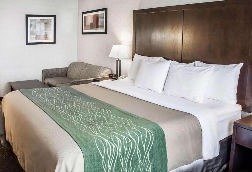 Номер Стандарт Кровать Кинг Адаптированный для Инвалидов, Comfort Inn Federal Way  Seattle