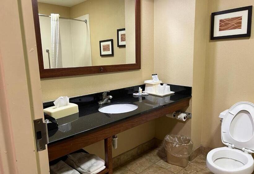 Стандартный Номер Кровать Кинг, Comfort Inn