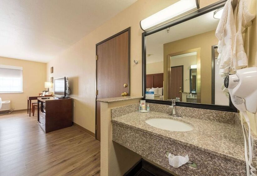 Pokój Standard 2 Łóżka Małżeńskie, Comfort Inn & Suites Alamosa