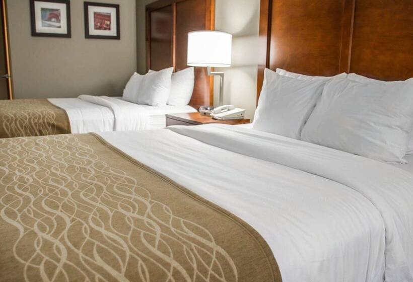 Номер Стандарт 2 Двуспальные Кровати, Comfort Inn & Suites Riverview Near Davenport And I80