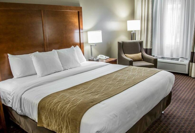 Люкс Вид на Реку, Comfort Inn & Suites Riverview Near Davenport And I80