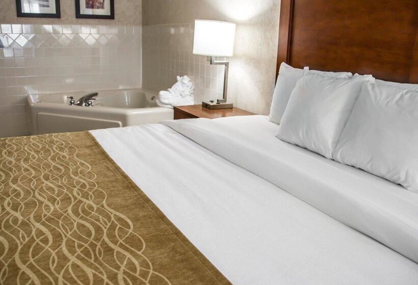 Люкс Вид на Реку, Comfort Inn & Suites Riverview Near Davenport And I80