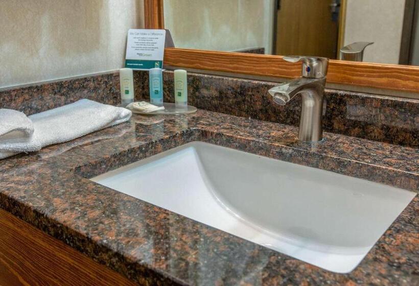 Стандартный Номер Кровать Кинг, Quality Inn & Suites University
