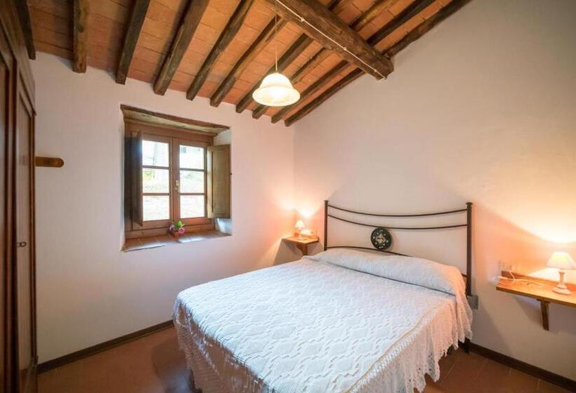 标准间, Fattoria Di Cintoia