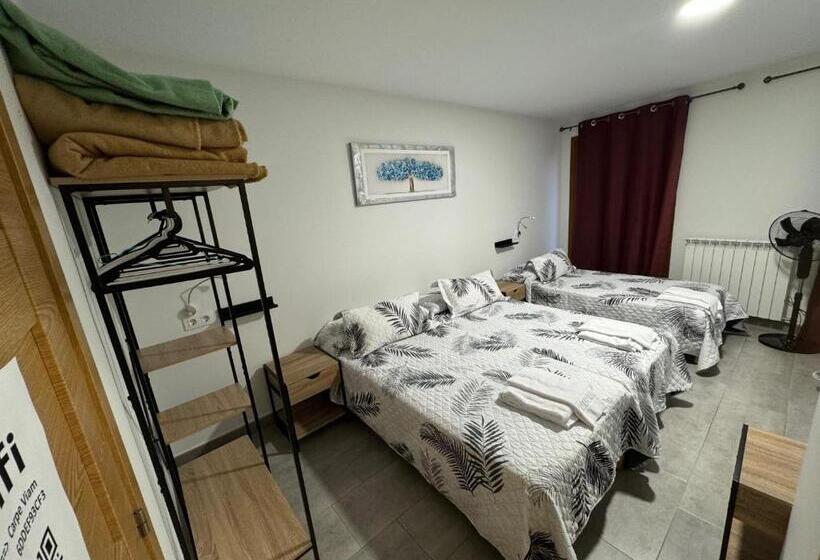 スタンダード４人部屋, Carpe Viam
