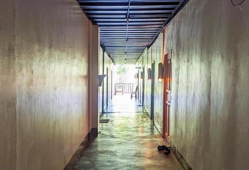 اتاق استاندارد, Lexias Hostel And Workspace   El Nido