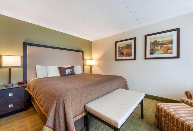Стандартный Номер Кровать Кинг, Best Western Plus White Bear Country Inn