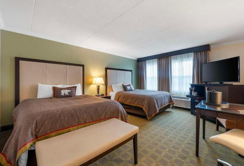 Номер Стандарт, Best Western Plus White Bear Country Inn