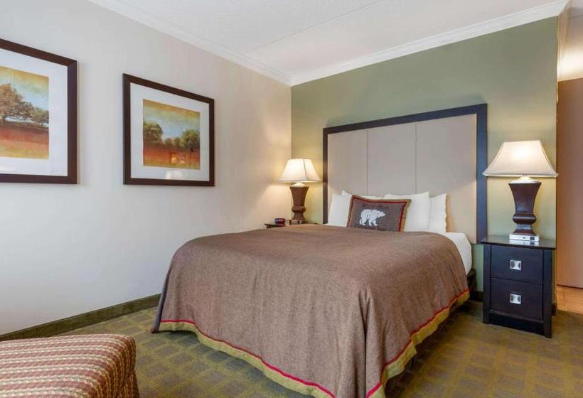 Номер Стандарт Адаптированный для Инвалидов, Best Western Plus White Bear Country Inn