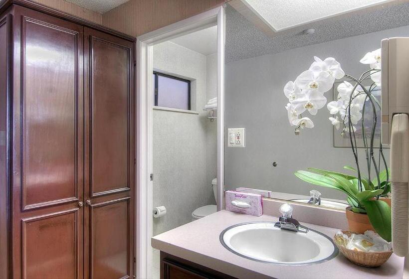 Стандартный Номер Кровать Кинг, County Inn