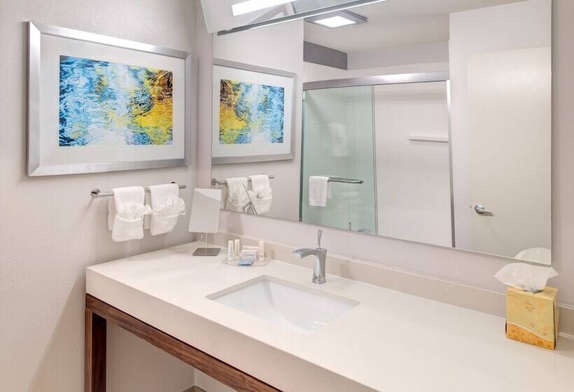 Cameră Standard Pat Matrimonial, Courtyard By Marriott Columbia Northeast/fort Jackson Area