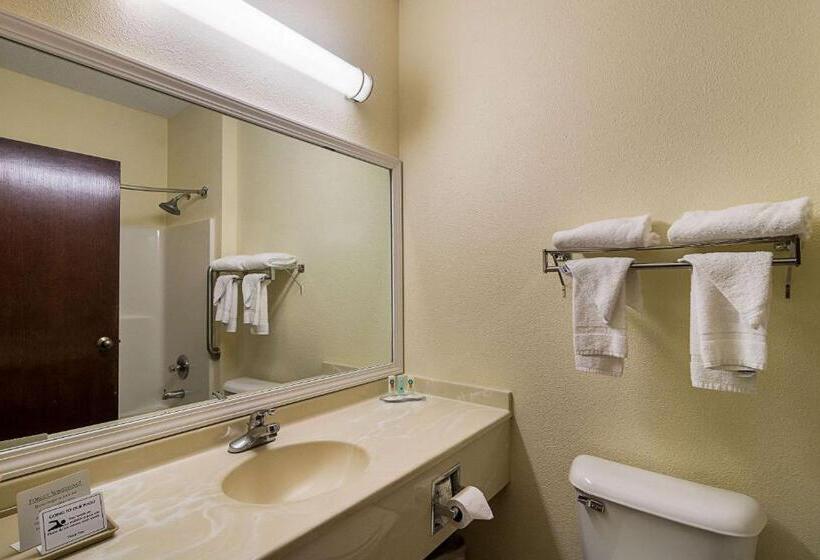 Suite King Size Seng, Quality Inn & Suites Near I 80 And I 294