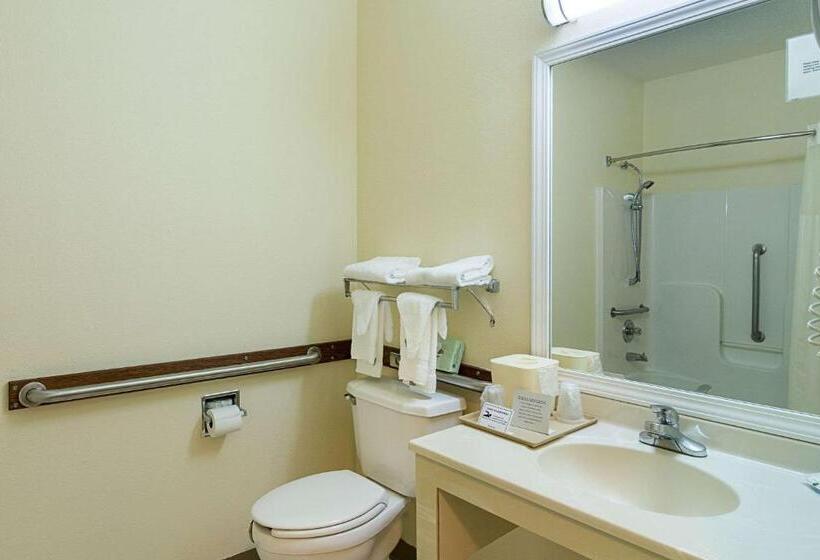 Suite Tilpasset til Handicappede, Quality Inn & Suites Near I 80 And I 294