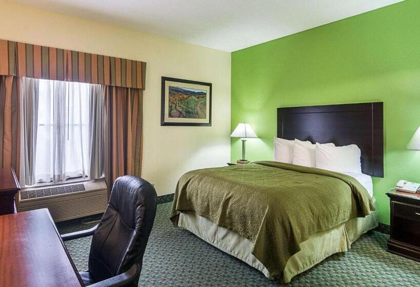 Suite, Quality Inn & Suites Near I 80 And I 294