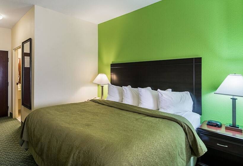 Suite, Quality Inn & Suites Near I 80 And I 294