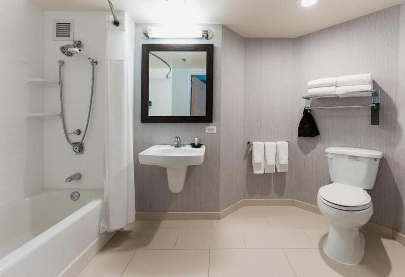 اتاق استاندارد با تخت بزرگ, Courtyard By Marriott Los Angeles Lax/century Boulevard