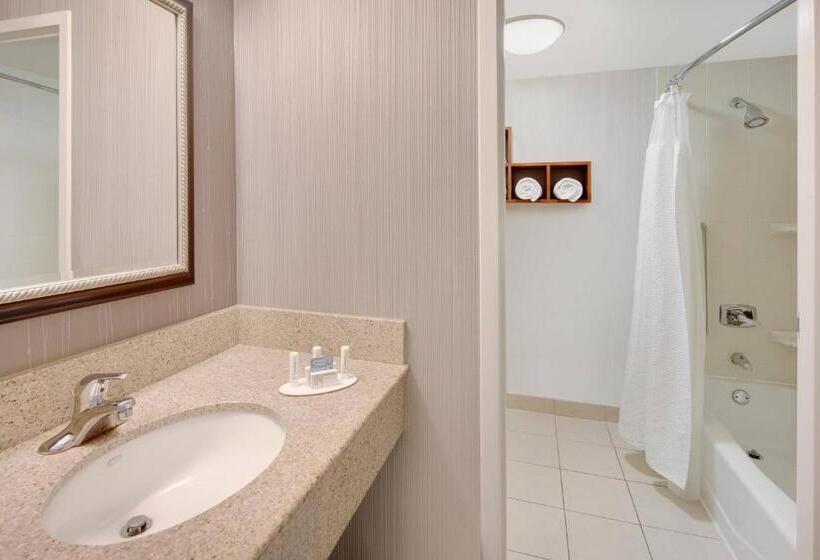 스탠다드 룸 킹사이즈 침대, Courtyard Detroit Southfield