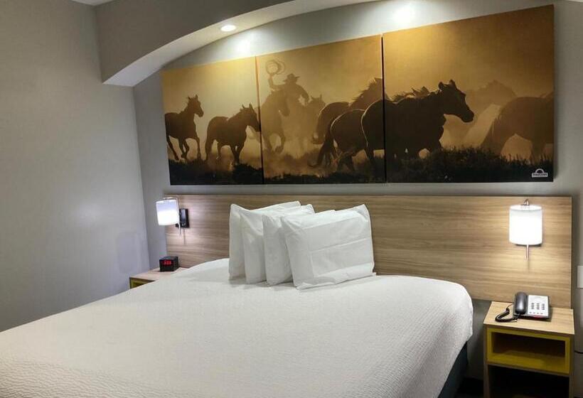 身障者適用キングサイズベッドルーム, Days Inn By Wyndham Humble/houston Intercontinental Airport
