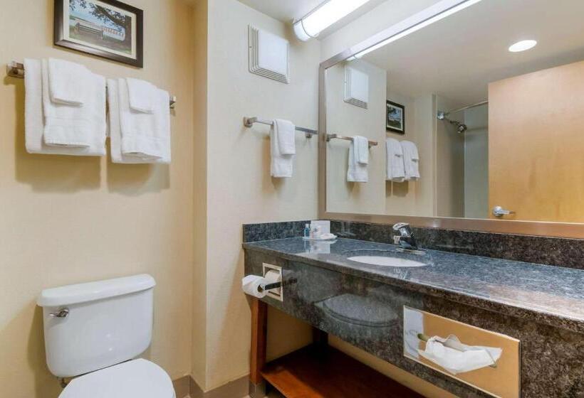 스탠다드 룸, Comfort Inn Mechanicsburg  Harrisburg South
