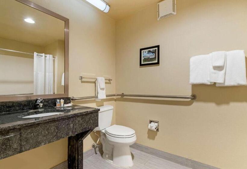장애인을 위한 킹사이즈 침대 스탠다드 룸, Comfort Inn Mechanicsburg  Harrisburg South