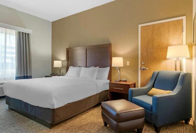 장애인을 위한 킹사이즈 침대 스탠다드 룸, Comfort Inn Mechanicsburg  Harrisburg South