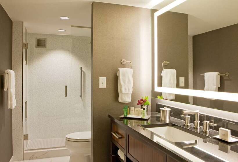 Suite met Kingsize Bed, Hilton Chicago/magnificent Mile Suites