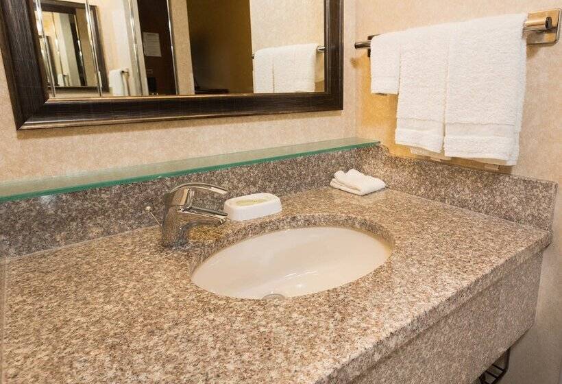 デラックスルーム, Drury Inn & Suites Atlanta Airport