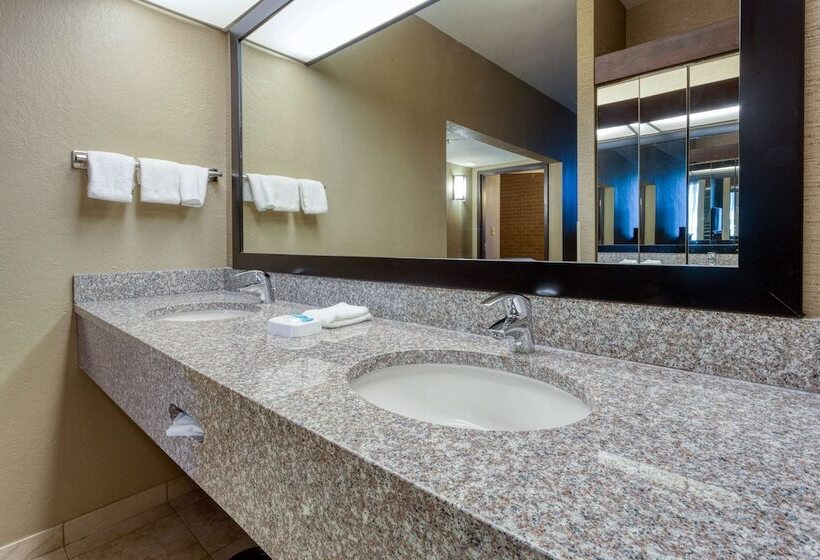 障害者適応デラックスルーム, Drury Inn & Suites Atlanta Airport