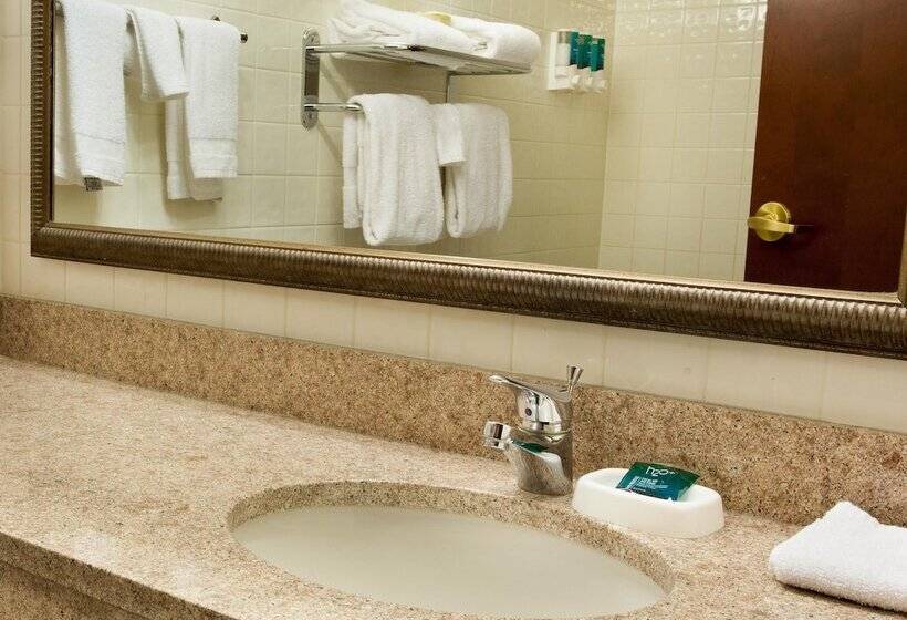 豪华房间, Drury Inn & Suites St. Louis Creve Coeur