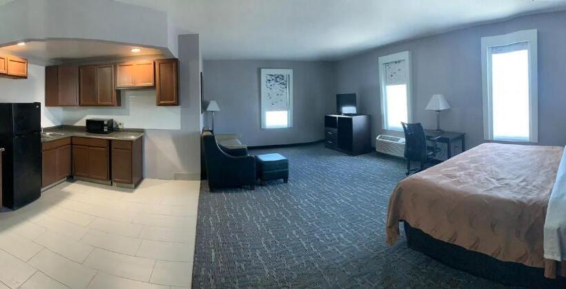 Номер Стандарт Кровать Кинг Адаптированный для Инвалидов, Quality Inn & Suites
