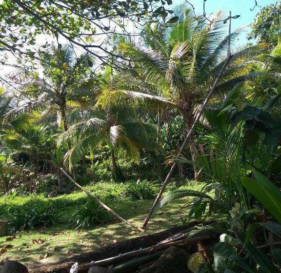 چادر با خدمات رفاهی استاندارد, Port Antonio Brian S Beach House