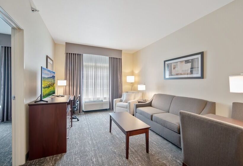 Люкс, Cobblestone Hotel & Suites   Austin