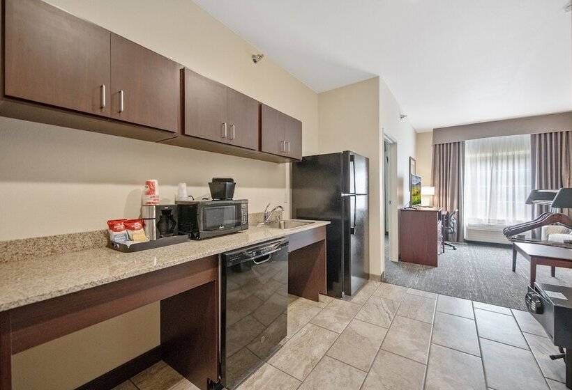 סוויטה, Cobblestone Hotel & Suites   Austin