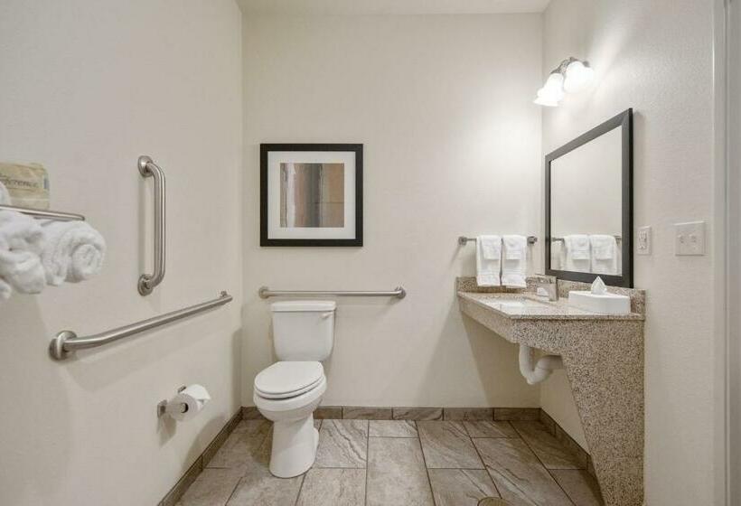 Студия Стандарт, Cobblestone Hotel & Suites   Austin