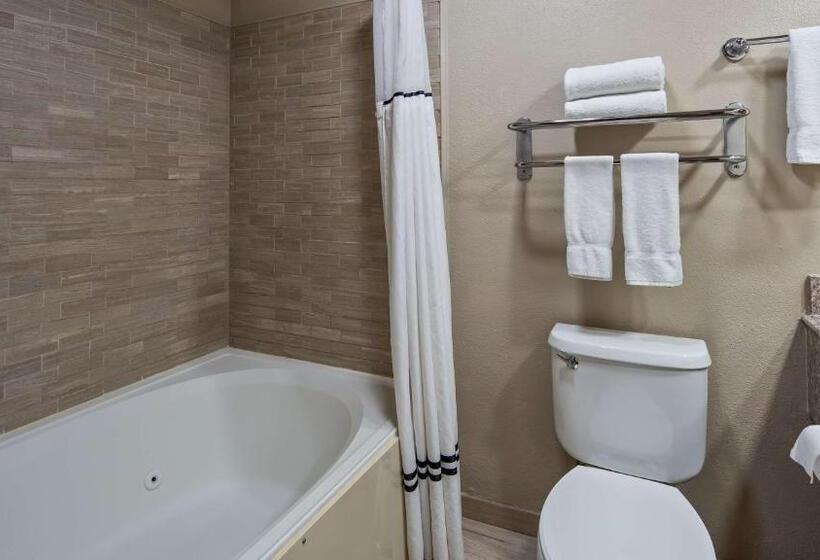 חדר סטנדרט, Best Western Plus Lubbock Windsor Inn