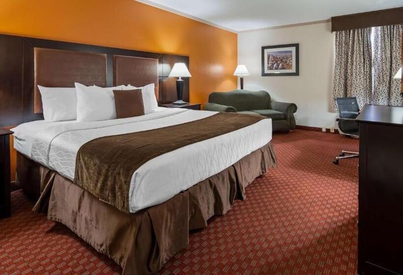 חדר סטנדרט עם מיטת קינג, Best Western Plus Lubbock Windsor Inn