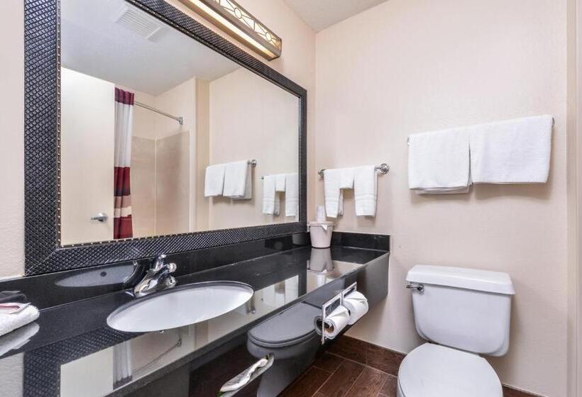 Номер Deluxe, Red Roof Inn & Suites Danville, Il