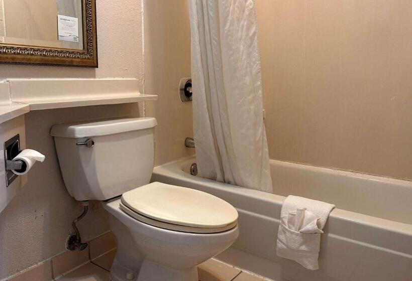 Standardrum King Size Säng, Travelodge By Wyndham Fort Wayne North
