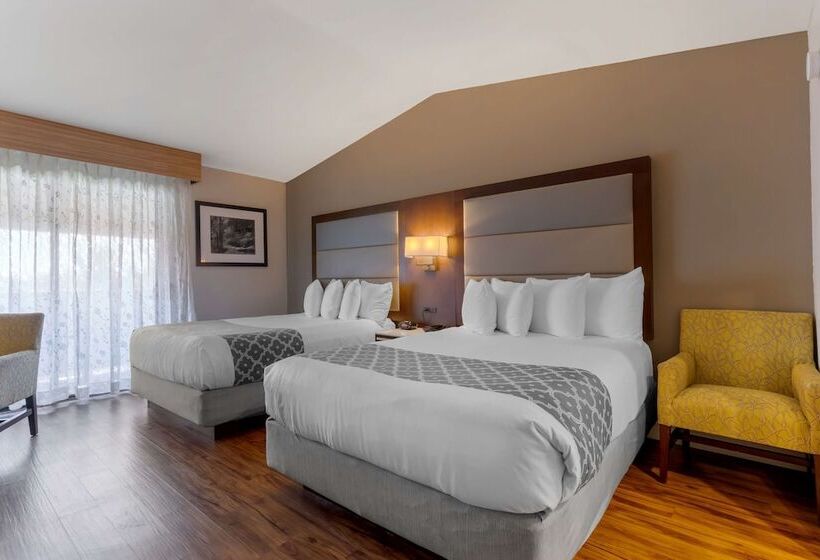 Номер Стандарт 2 Двуспальные Кровати, Best Western Plus Forest Park Inn