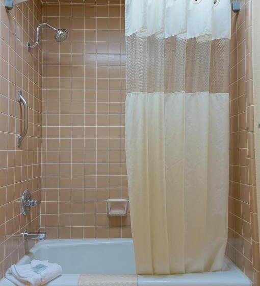 Стандартный Номер Кровать Кинг, Best Western Plus Forest Park Inn