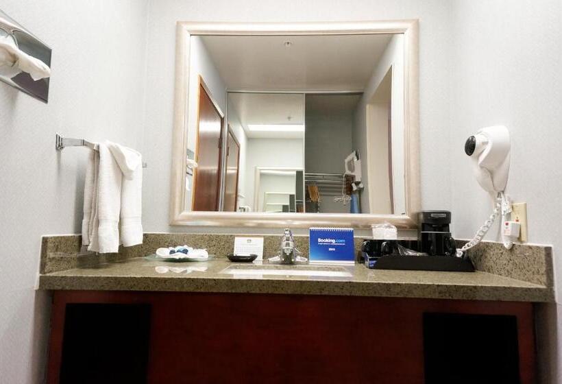 Номер Стандарт 2 Двуспальные Кровати, Best Western Plus Forest Park Inn